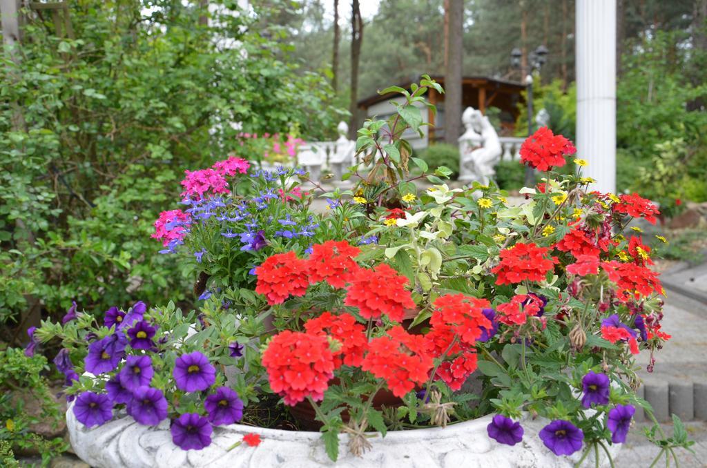 Bed&Breakfast Maciejanka Kobyla Gora Exterior photo