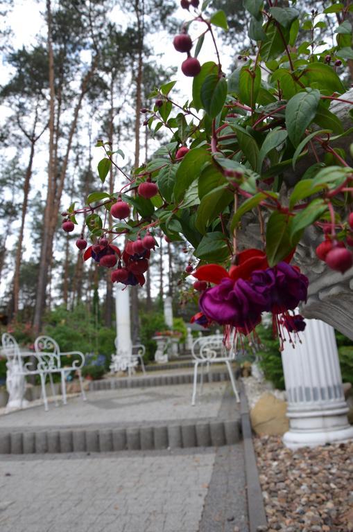 Bed&Breakfast Maciejanka Kobyla Gora Exterior photo